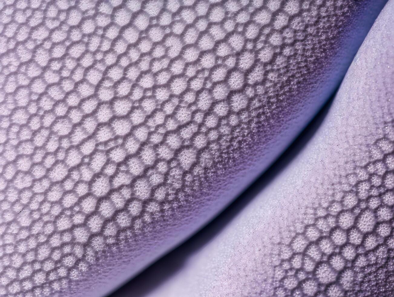 Abstract Purple Organic Texture full of holes in Extreme Macro, Cellular Surface Detail photo