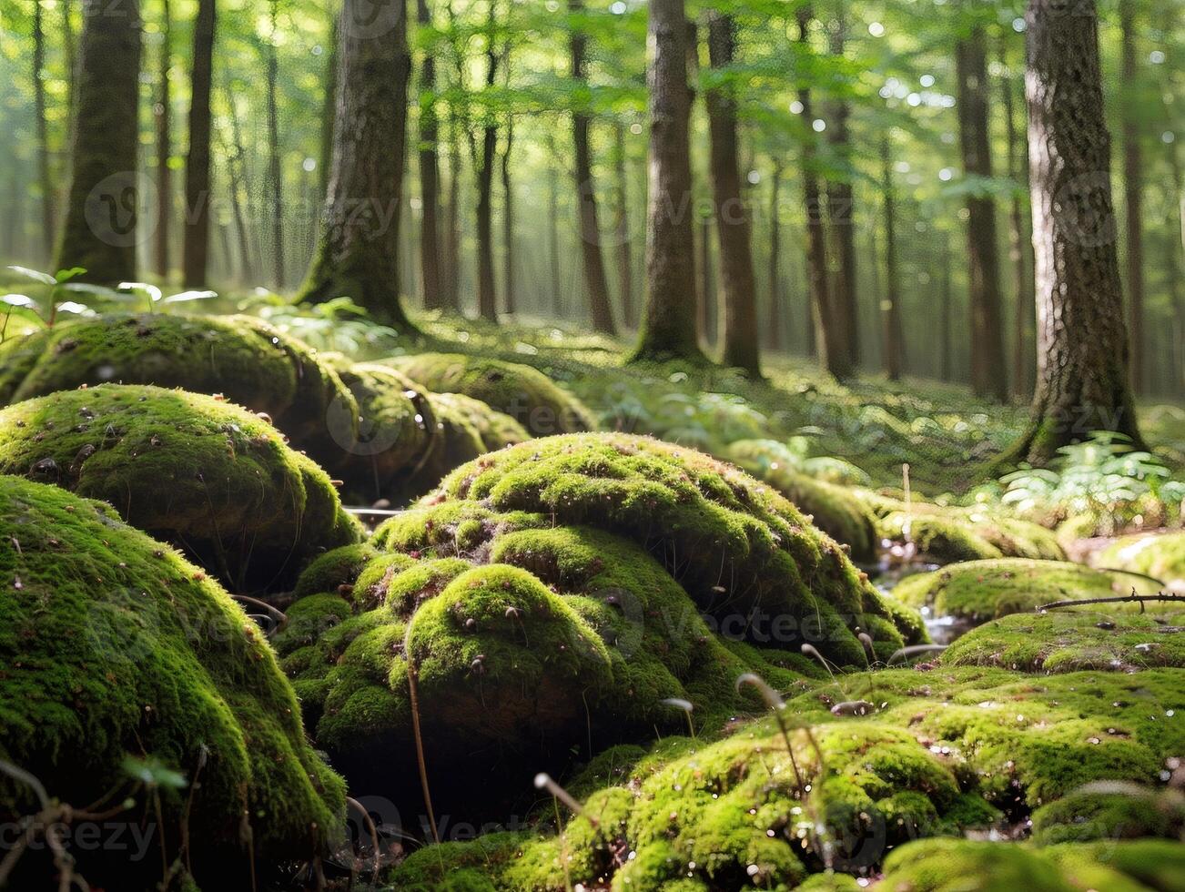 Miniature Forest Scene with Leaf Canopy and Water Droplets photo