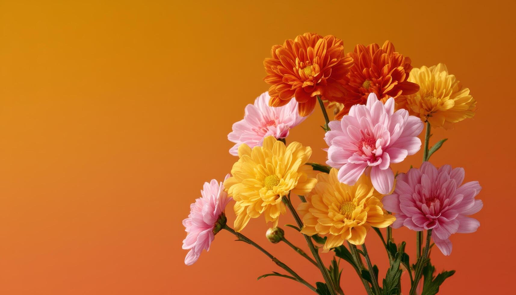Freshly picked wildflowers collection vibrant burst of color nature photography studio background floral arrangement photo