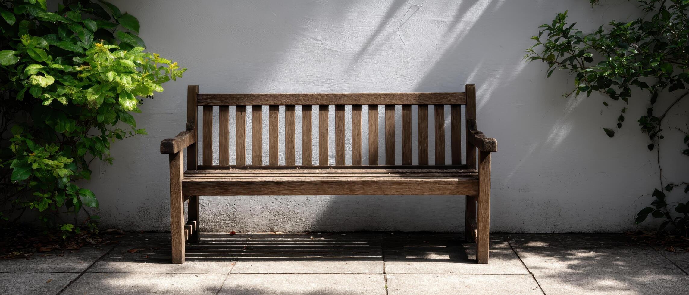 Sunlit empty garden bench outdoor space minimalist photography serene environment tranquil concept photo