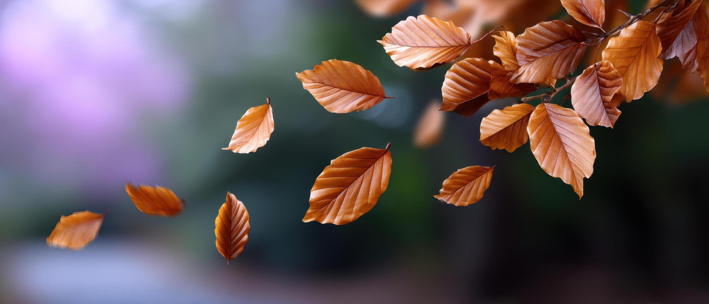 Gentle leaves blowing in the wind quiet afternoon nature scene peaceful environment photo