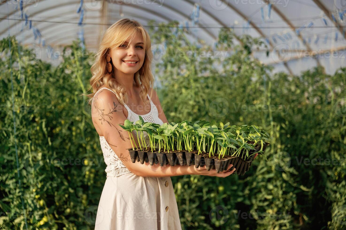 Plastic pots ,with, bunch ,of ,,plants. Beautiful woman is in the greenhouse photo