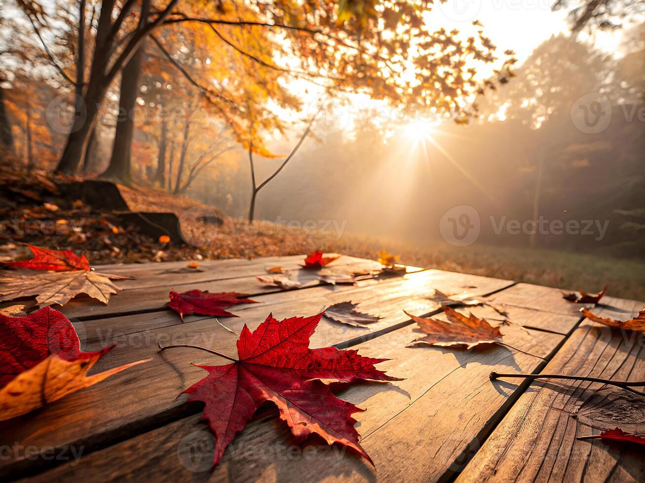 Golden Autumn. Morning Sunlit Leaves on Wooden Deck photo