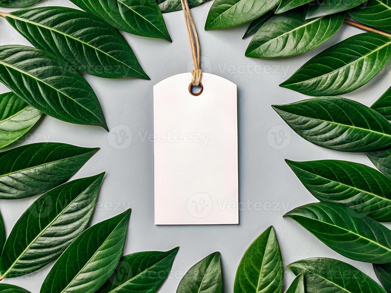 Elegant Blank Tag Surrounded by Lush Green Leaves. Perfect for Branding and Design photo