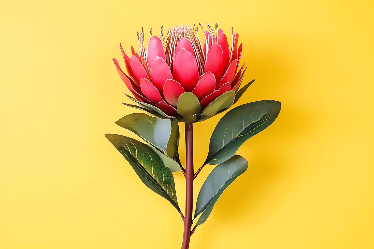 Protea flower with vibrant yellow background photo