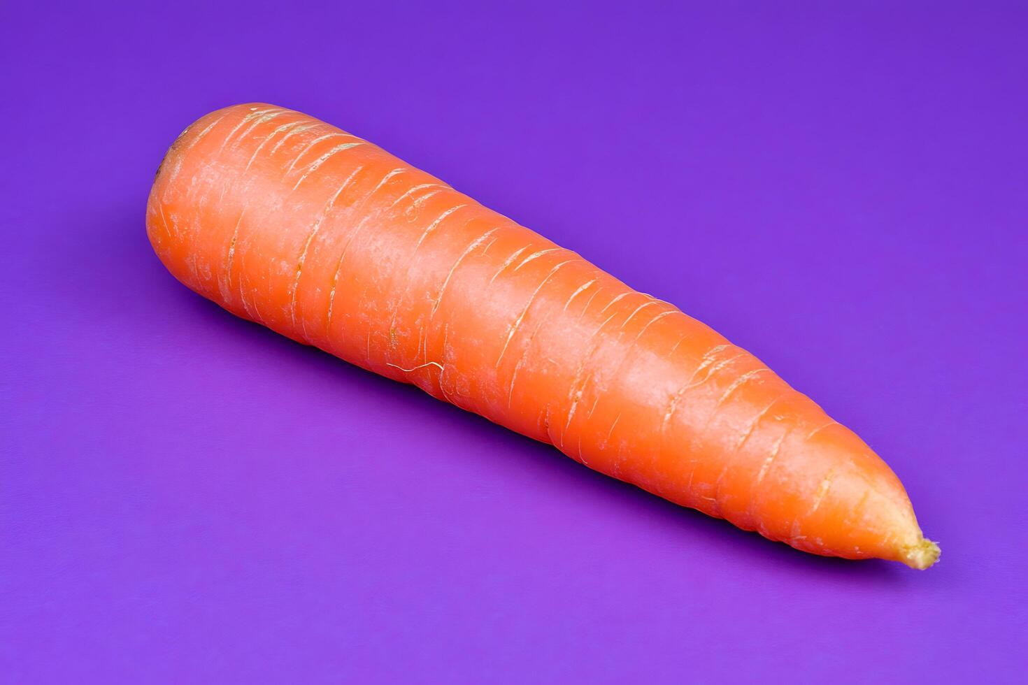Single fresh carrot on purple background photo