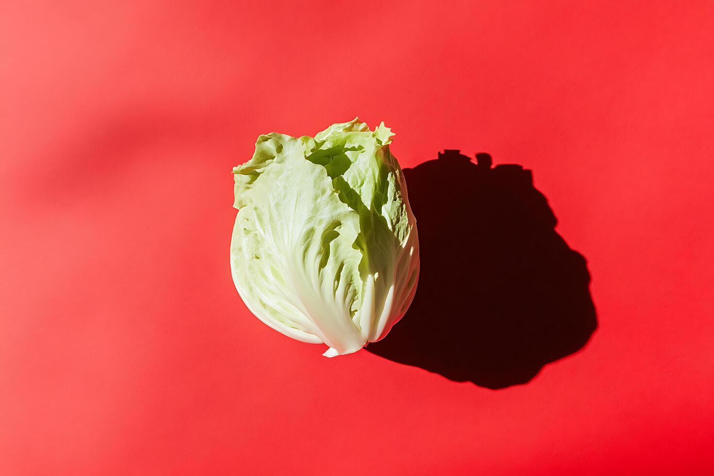 Lettuce on vibrant red contrasting background photo