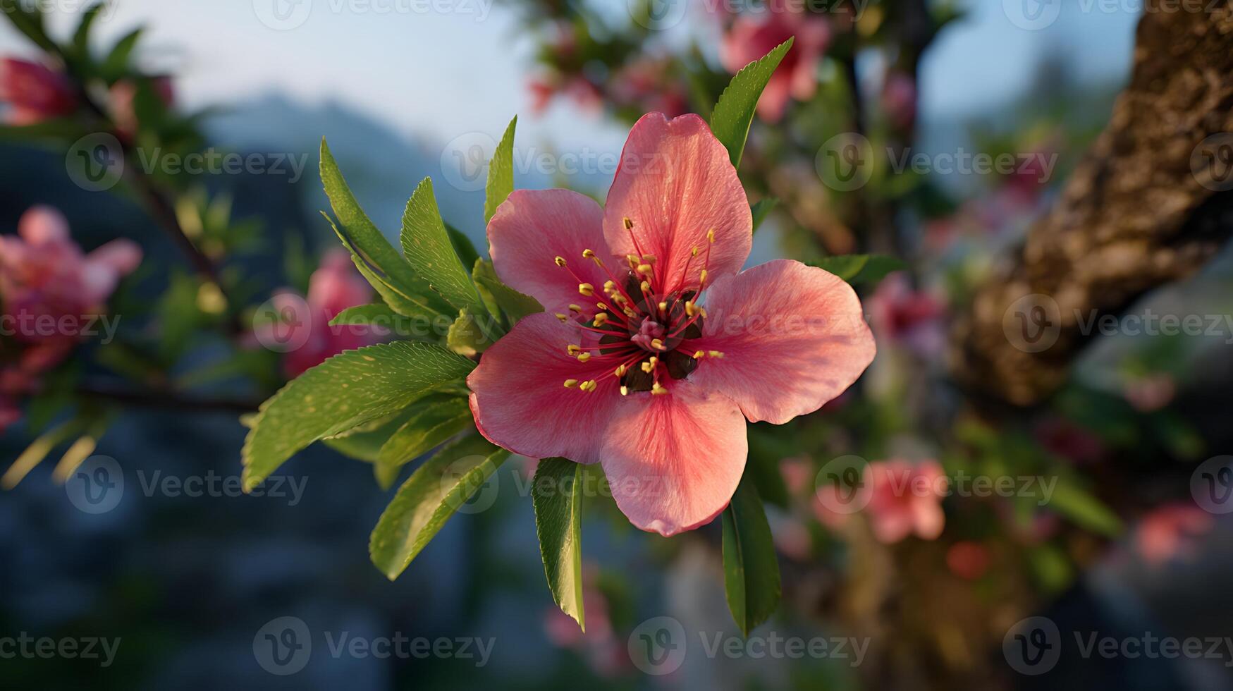 Blossom on Tree in Focus with Blurred Forest Behind photo