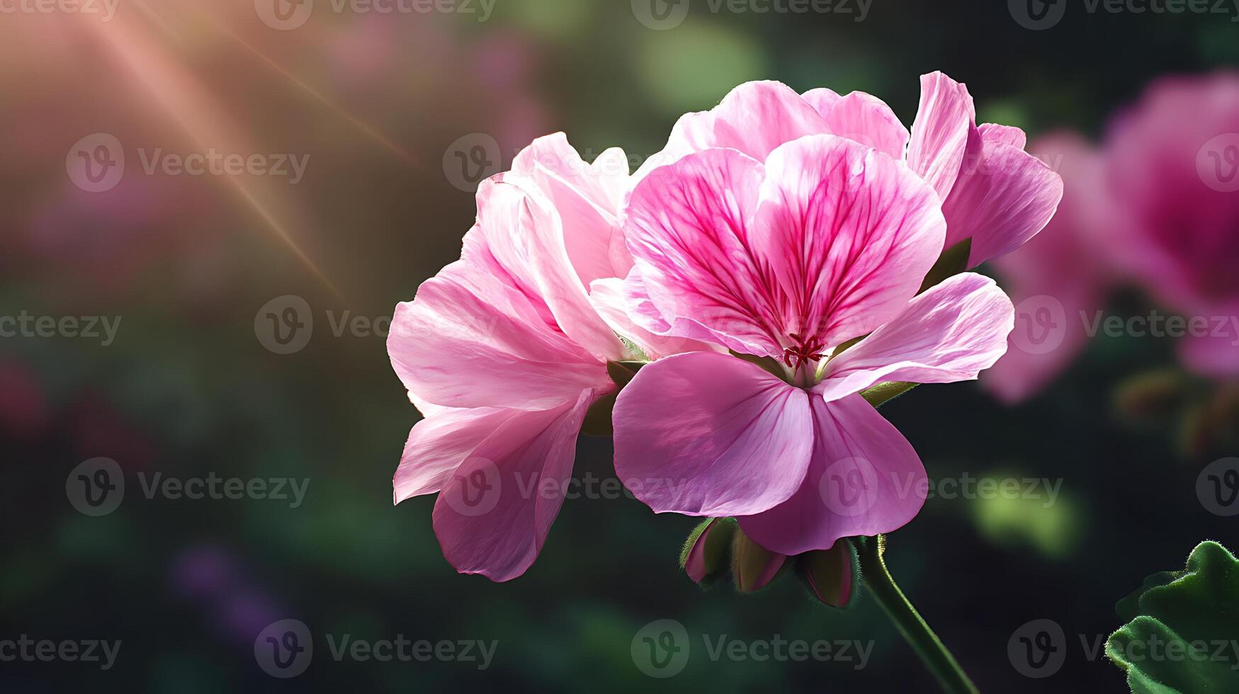 Richly Saturated Flower Image Emphasizing Natural Beauty and Form photo