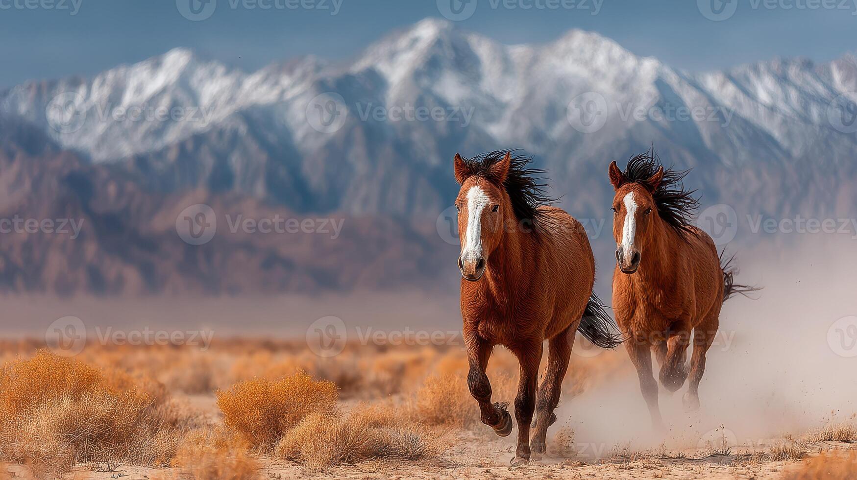 Two wild horses galloping through rugged terrain with snow-capped mountains in the background during a bright afternoon photo