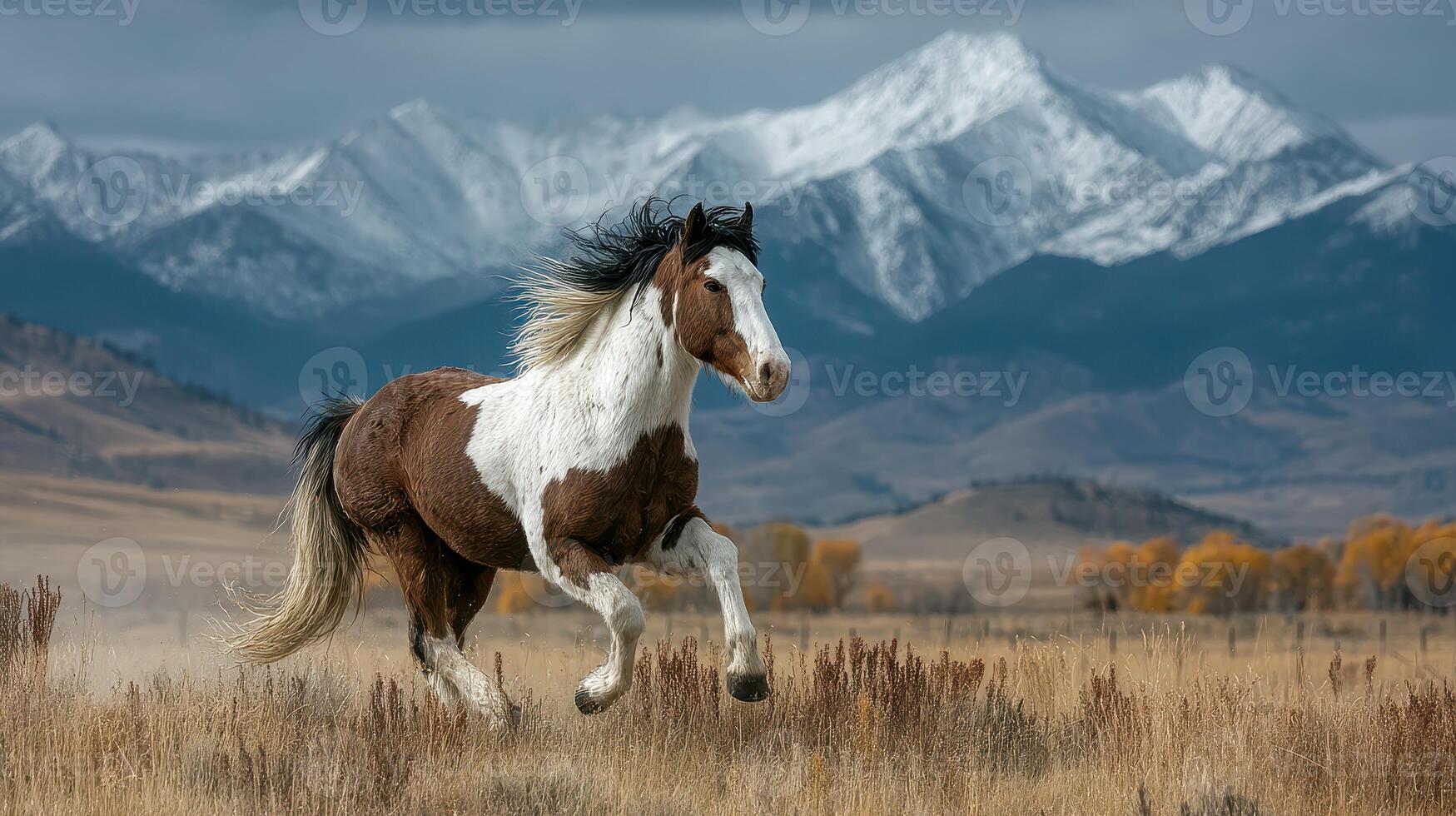 Majestic horse galloping across the plains with snow-capped mountains in the background during a clear daytime photo