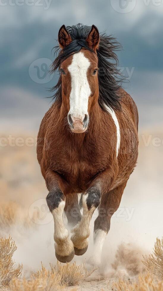 Horse galloping through dusty grassland under cloudy sky in mountain region photo