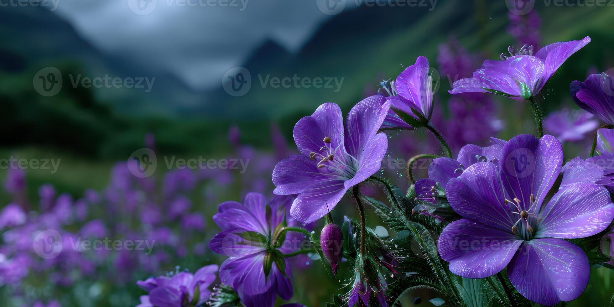 Vibrant purple flowers bloom in a lush valley surrounded by mountains during a cloudy day photo