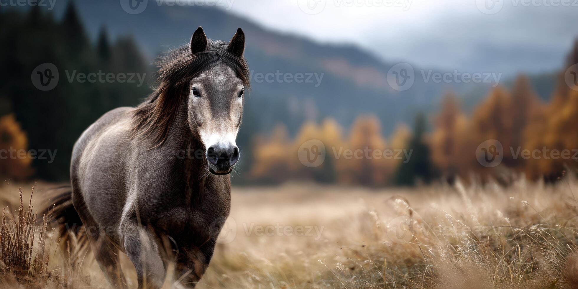 Majestic horse galloping through a golden meadow in autumn against a backdrop of mountains photo