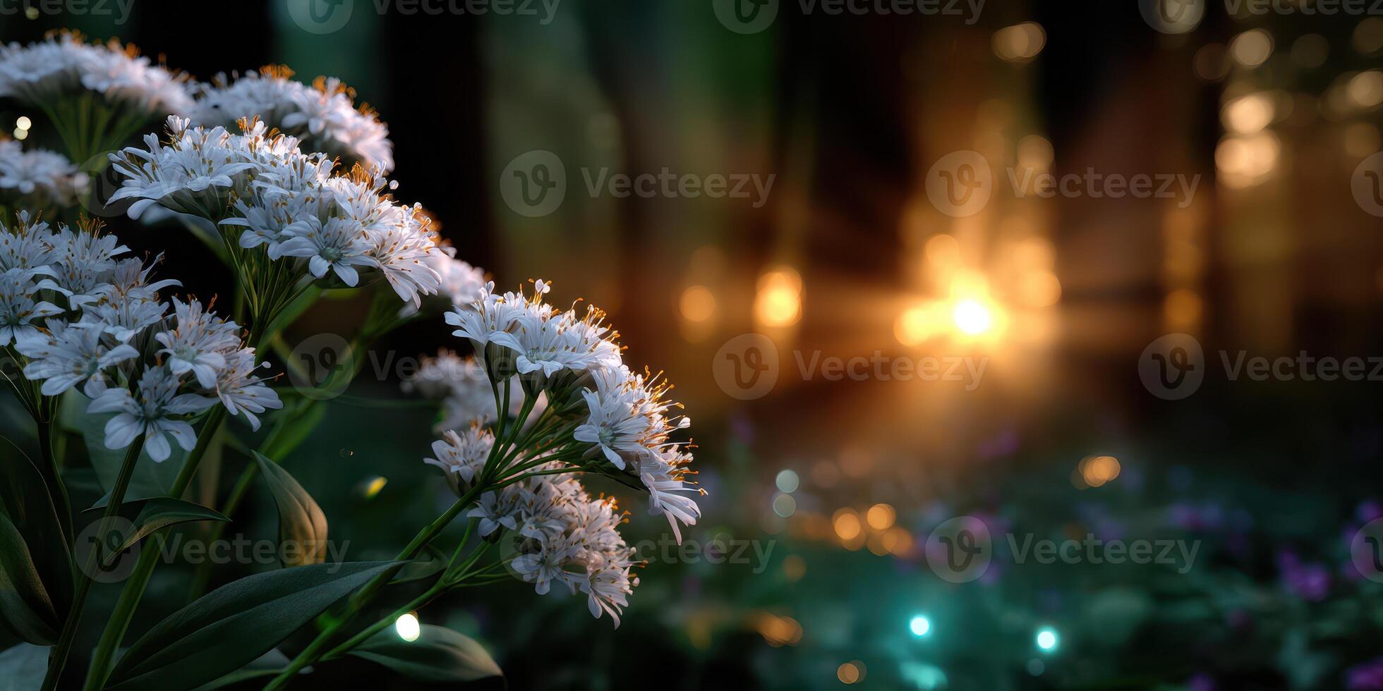 Beautiful white flowers bloom in a forest with golden sunlight illuminating the background during early morning hours photo