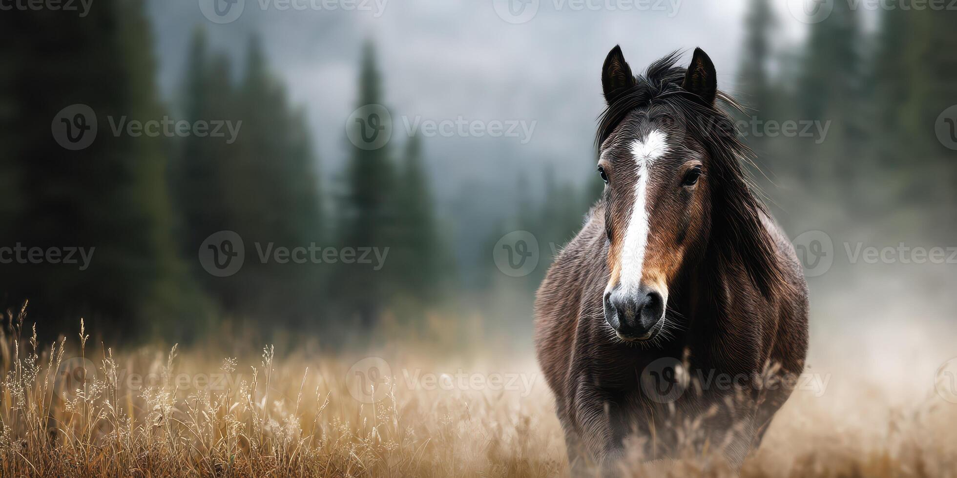 Wild horse walking through misty grasslands in a forested area during early morning hours photo