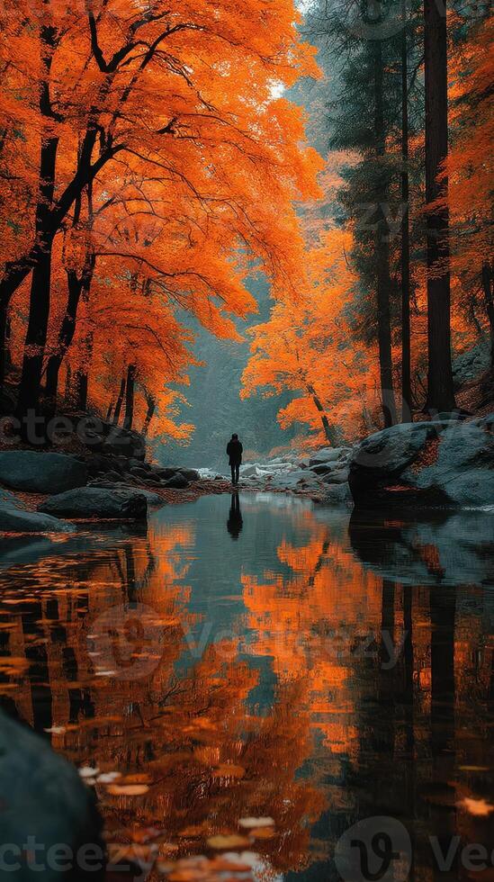 Stunning autumn landscape with vibrant orange foliage reflecting in a tranquil stream during early morning hours photo