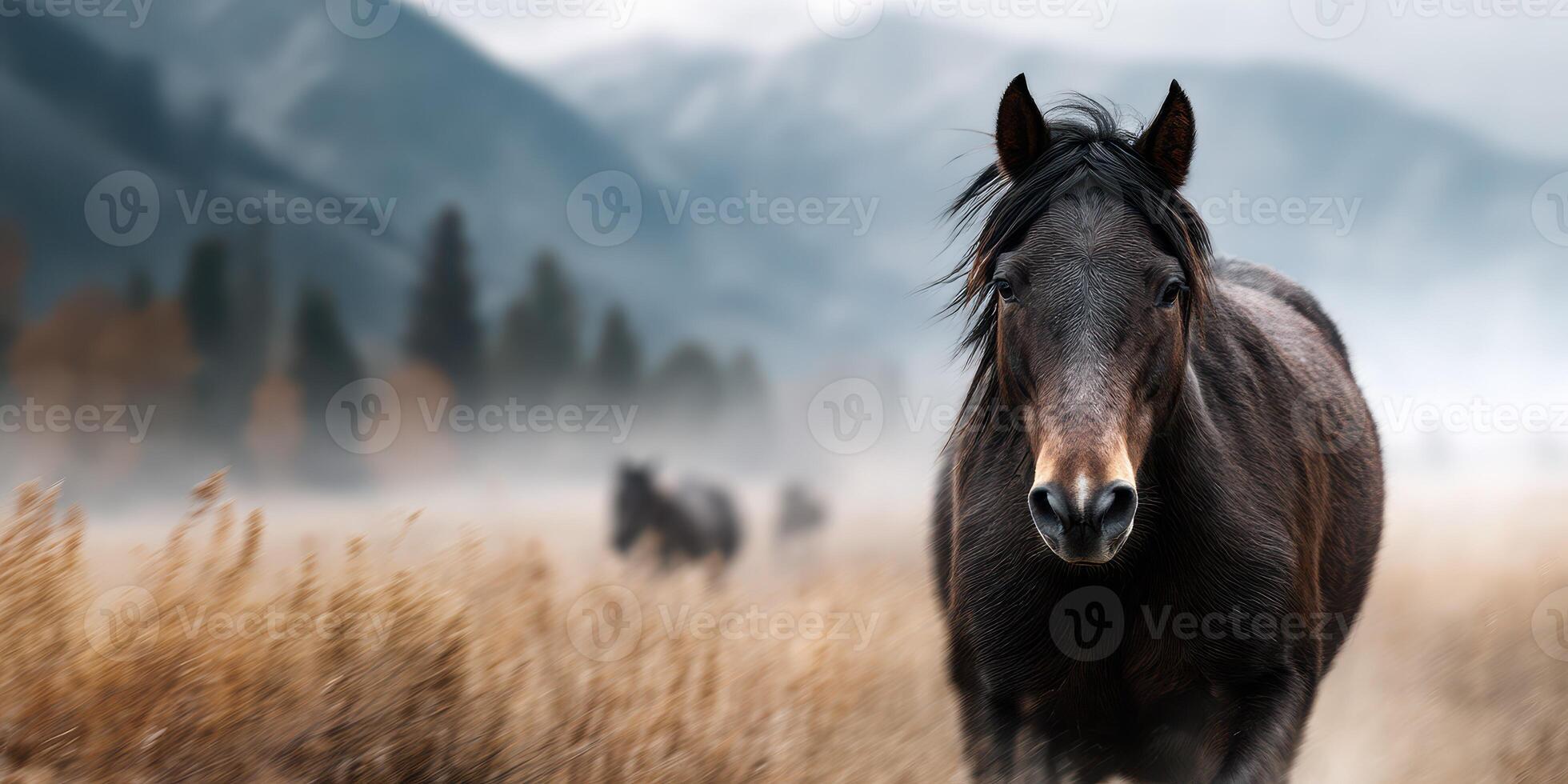 Majestic black horse standing in a misty field with mountains in the background during early morning light photo