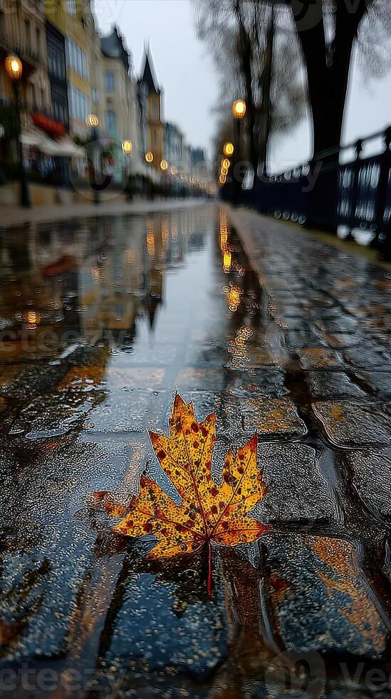 Autumn leaf resting on a wet cobblestone path reflecting city lights in the evening photo