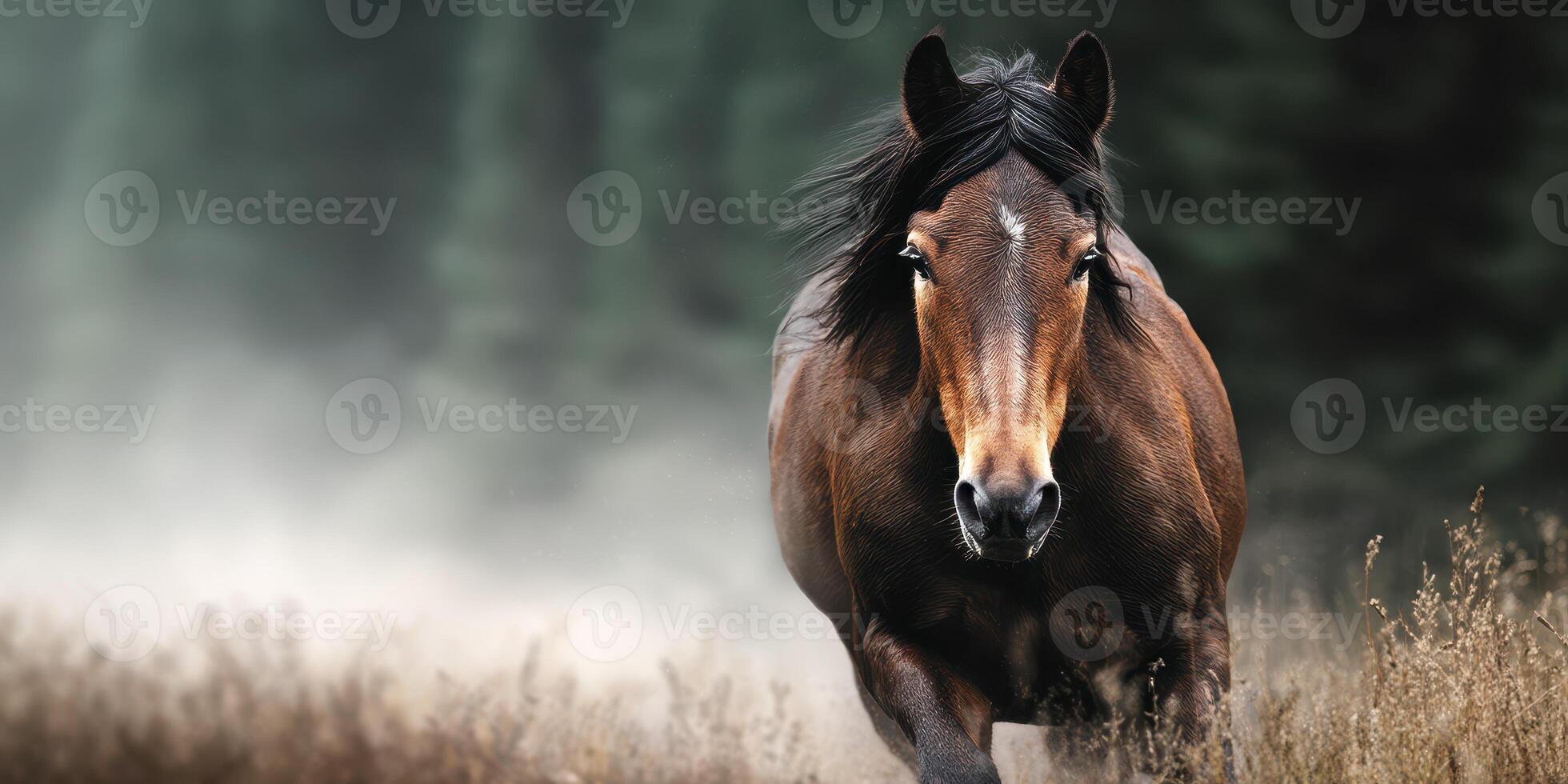 Majestic horse galloping through a foggy forest clearing at dawn showcasing nature's beauty and power photo