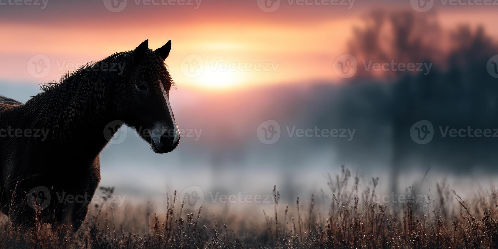 Majestic horse standing in a misty field during sunrise with vibrant colors in the sky photo