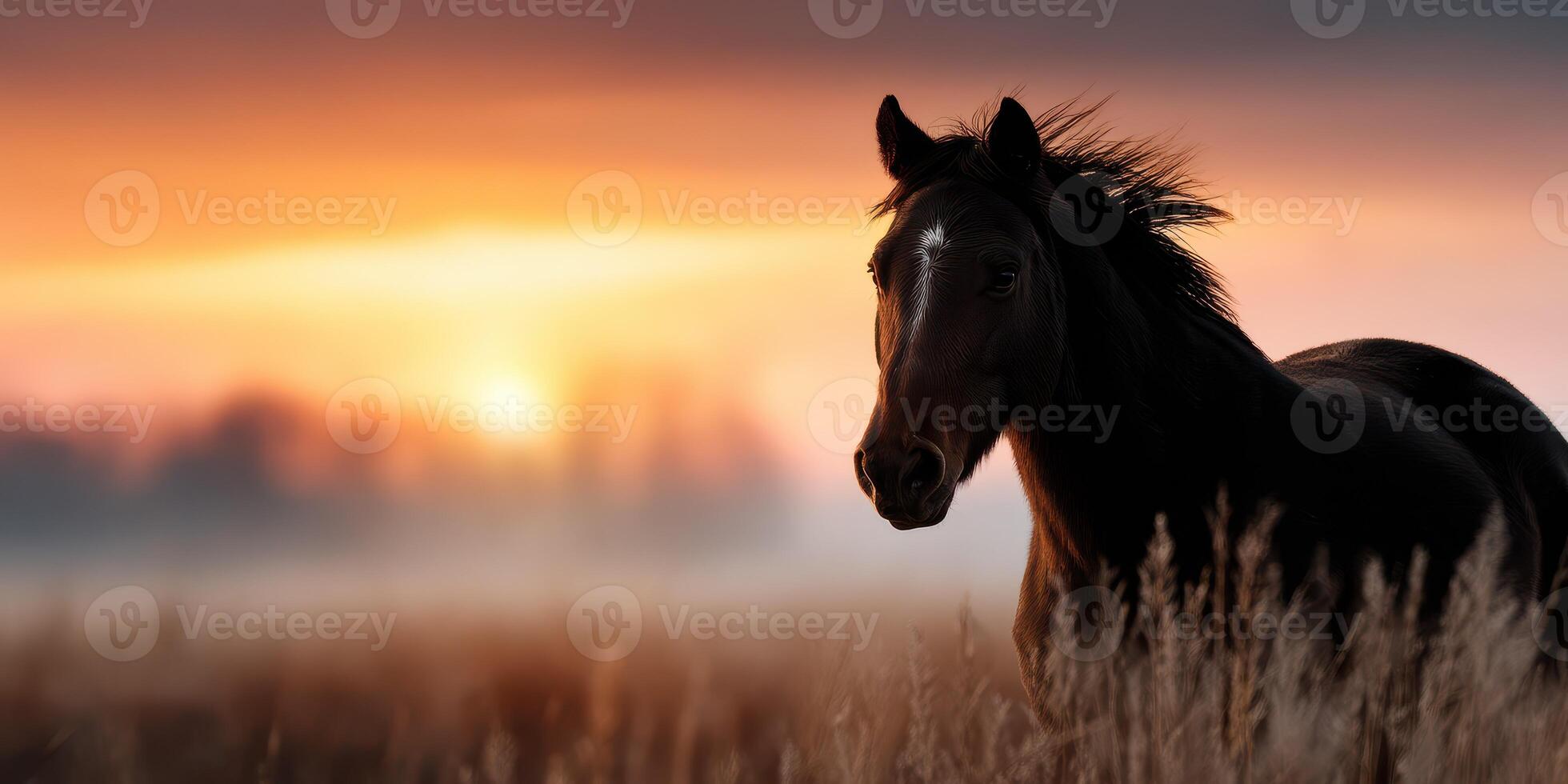 Majestic horse silhouetted against a vibrant sunset in an open field with tall grass photo