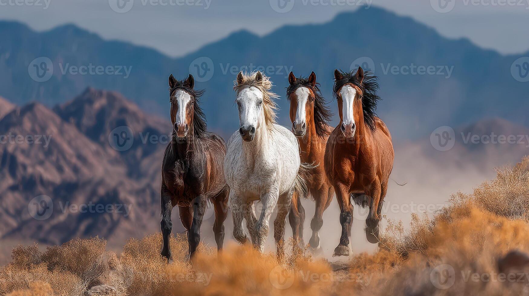 Wild horses gallop in a desert landscape surrounded by mountains under a cloudy sky during daylight hours photo