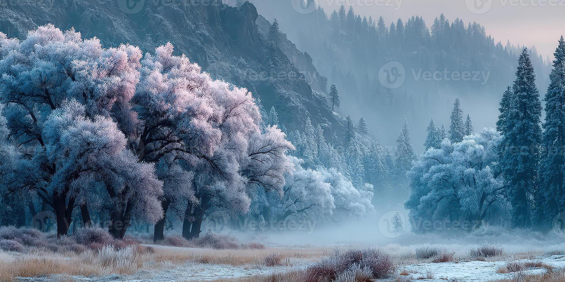 Frost-covered trees create a serene winter landscape in a misty valley at dawn photo