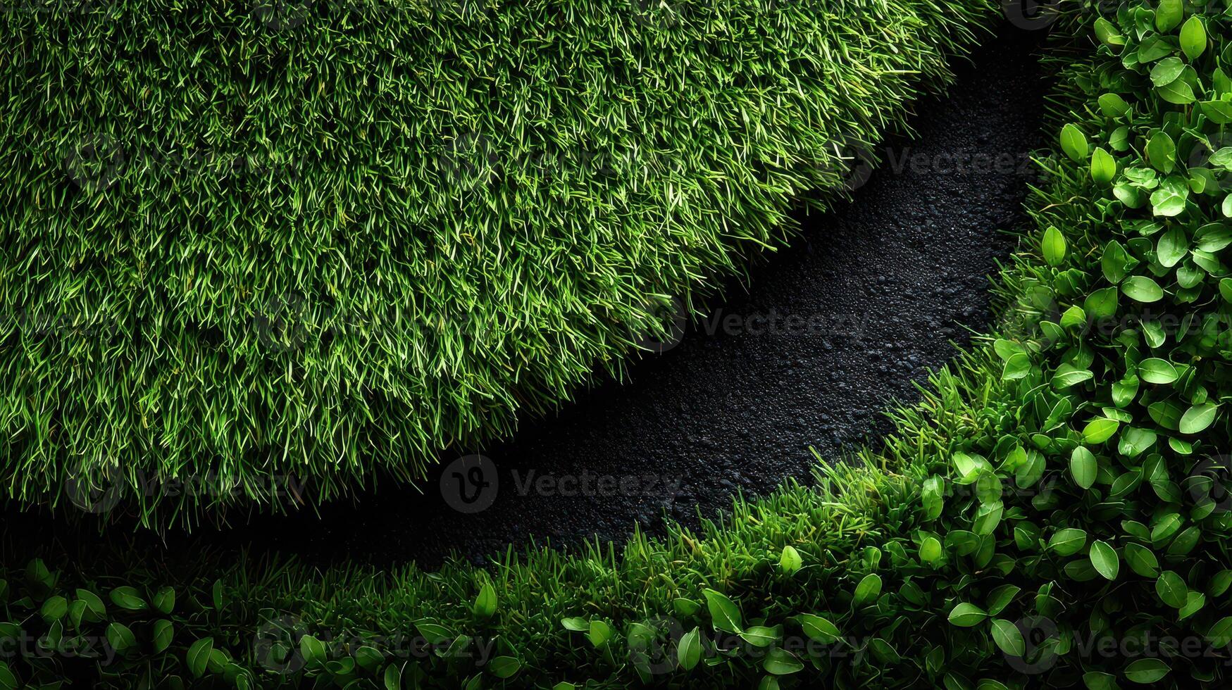 Green grass and dark soil create a fresh, vibrant landscape in a garden setting photo