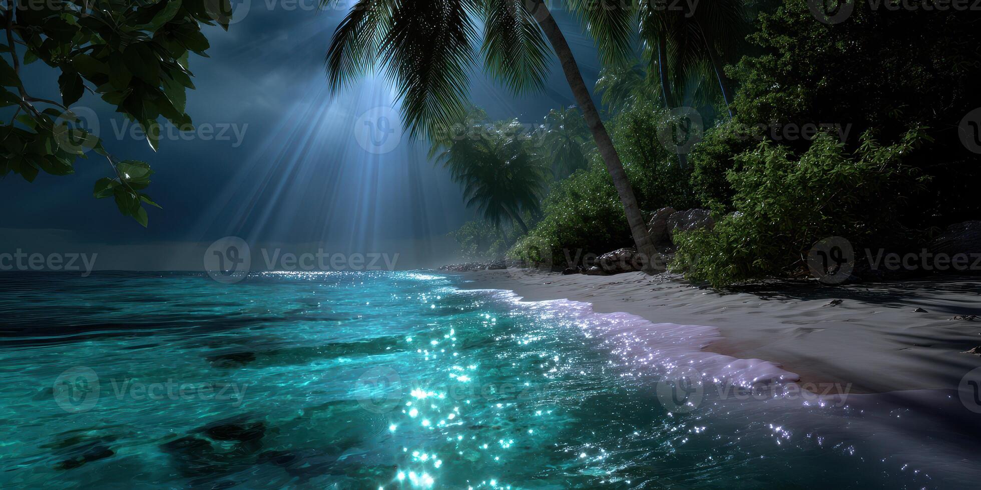 Calm tropical beach at night with shimmering water and moonlight illuminating the shoreline photo
