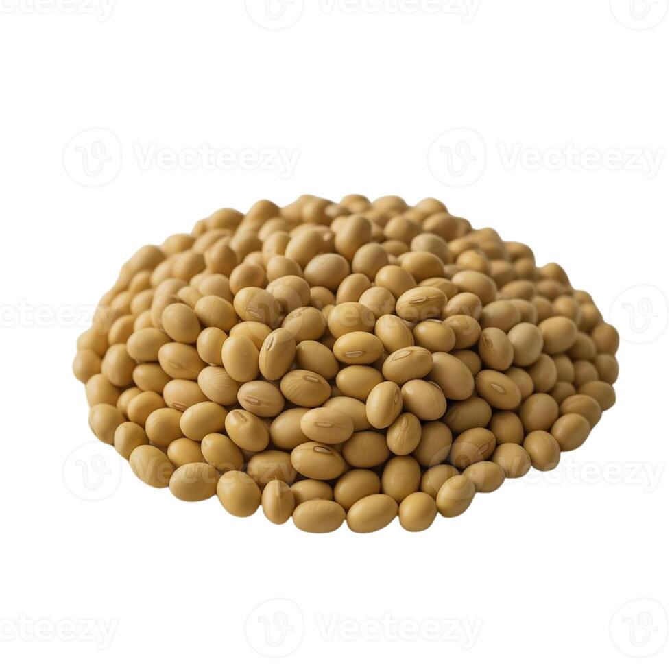 Isolated Soybeans, Perfect Elements for Graphic Design Projects photo