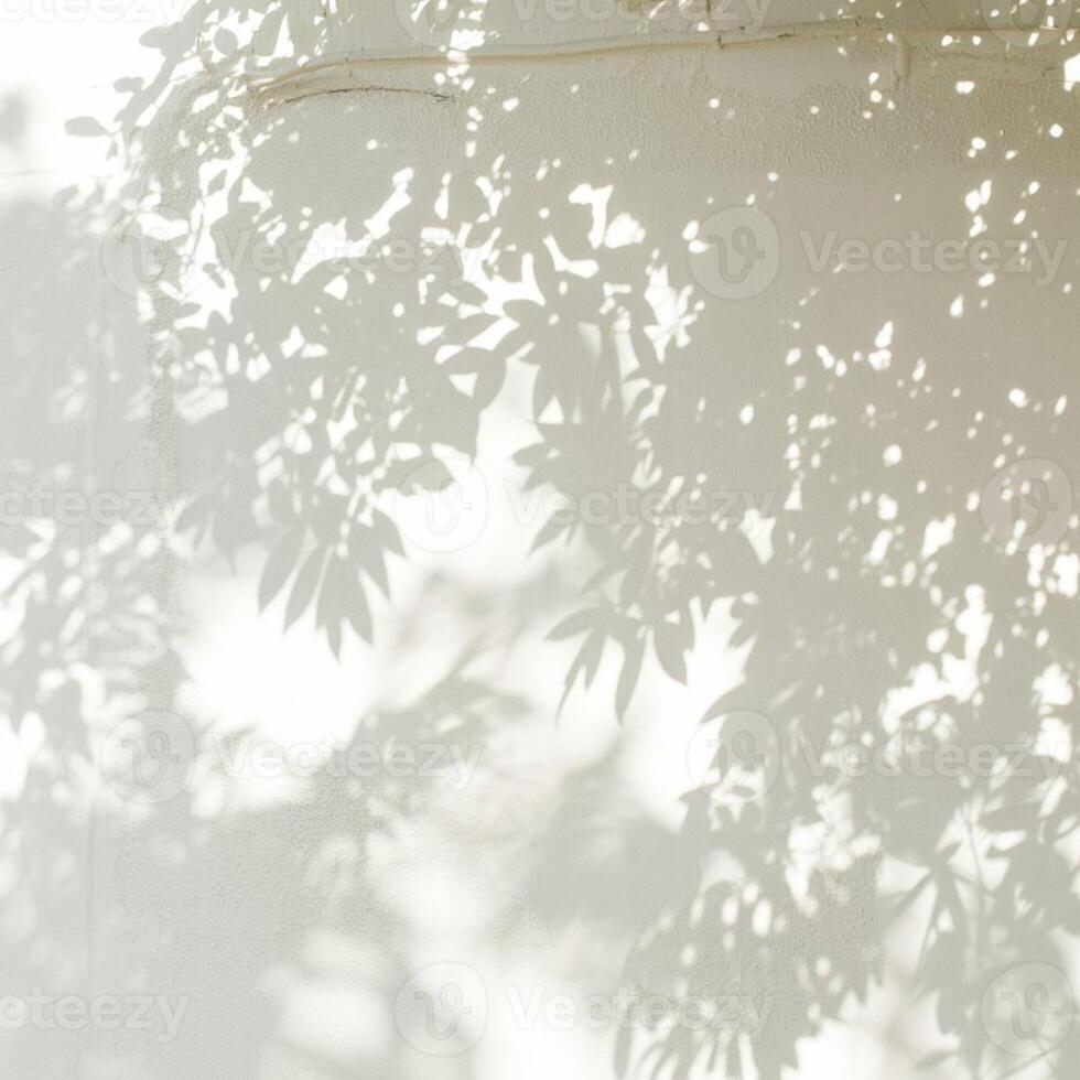 Flickering Leaves, Tree Shadows on a Sunlit Wall photo