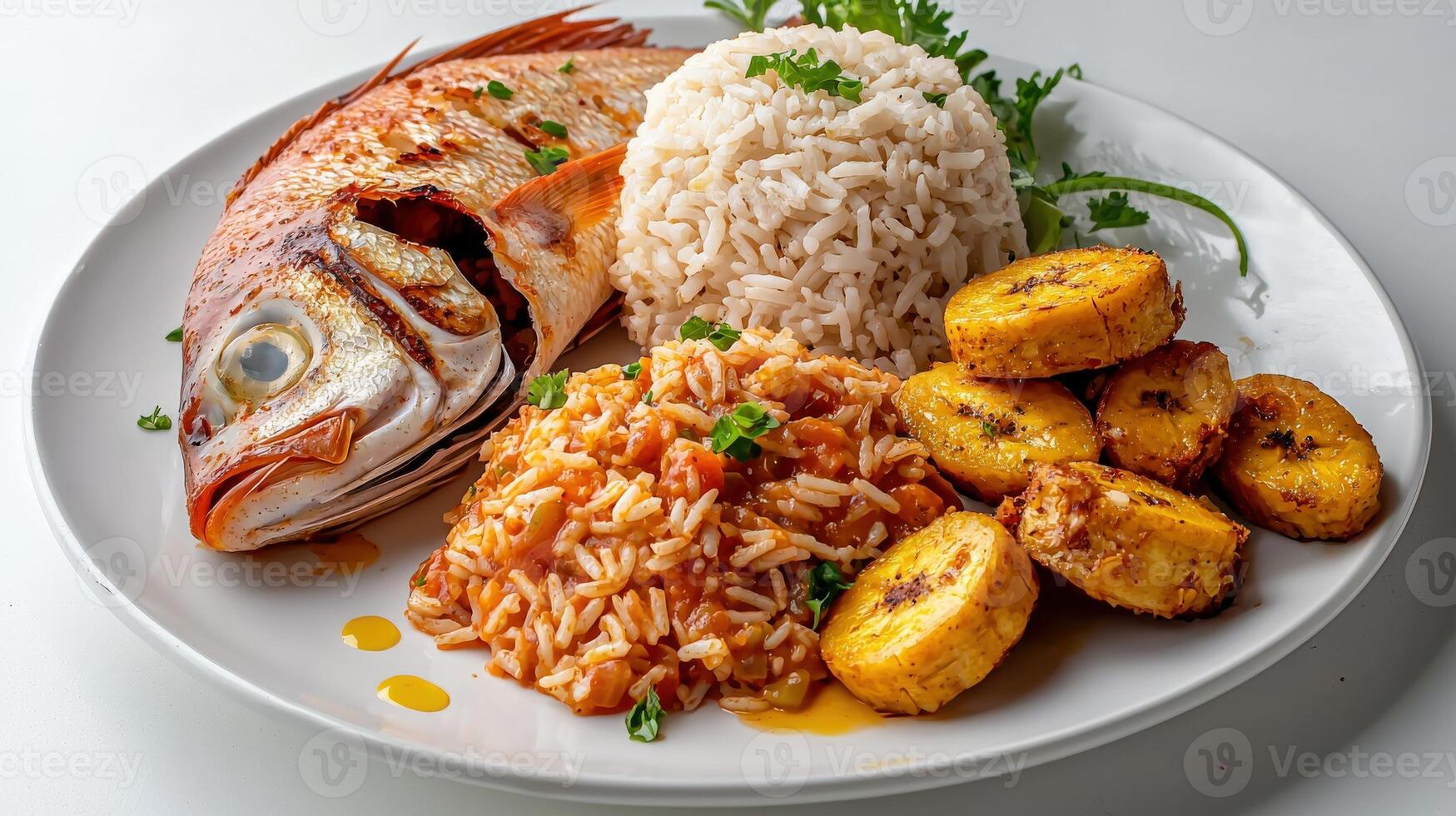 A plate with rice, fish and beans photo