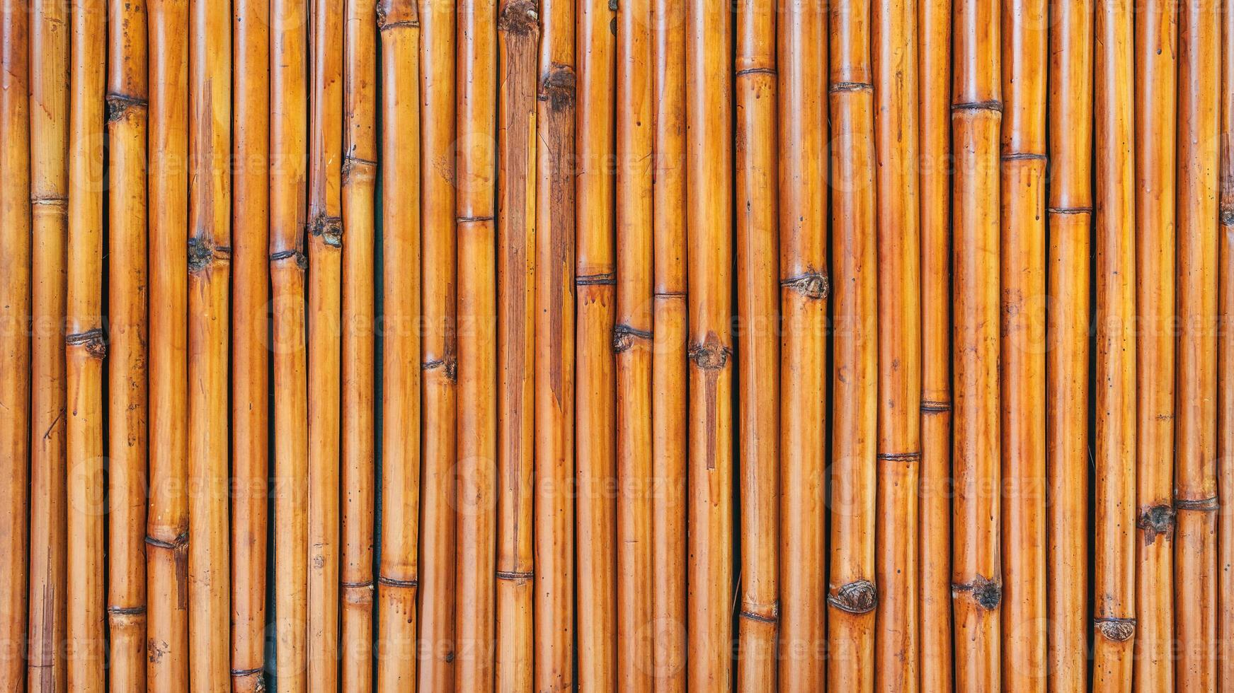 Panoramic background bamboo texture with natural patterns photo