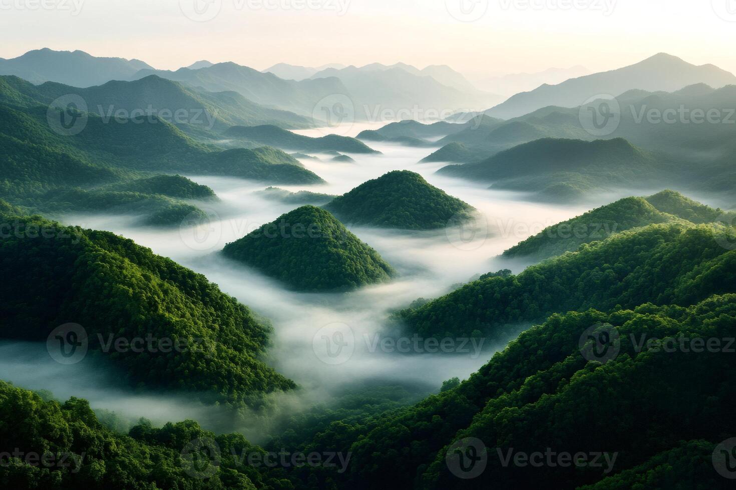 Fog is covering green hills at sunrise creating a beautiful landscape photo