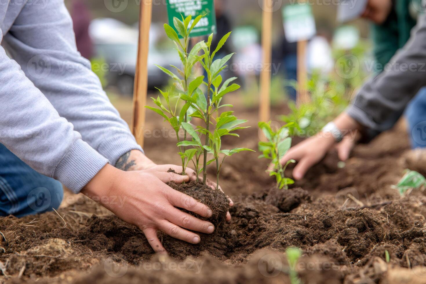Volunteers planting trees in community garden for earth day photo