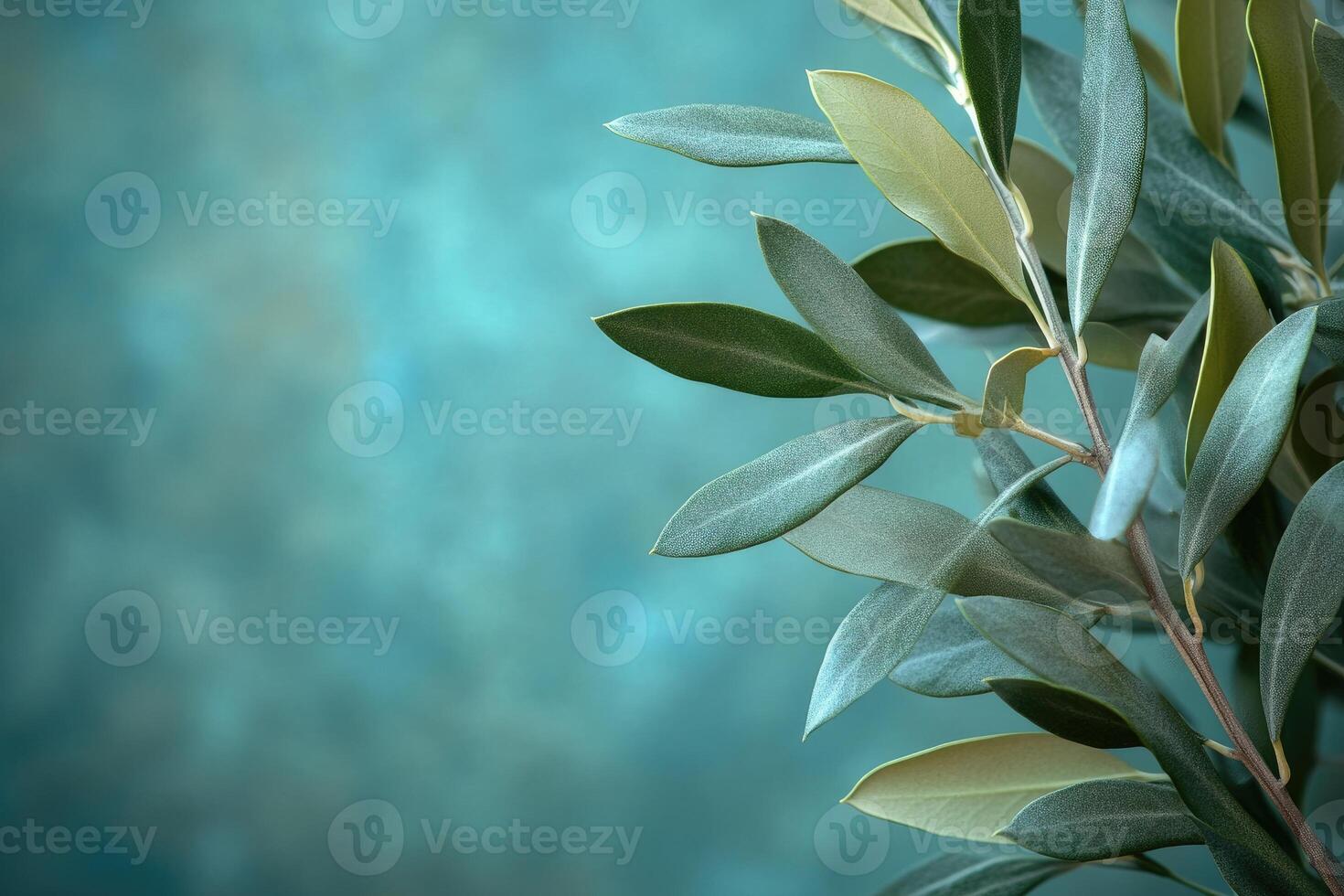 Olive branches creating frame on textured teal background for design or invitation photo