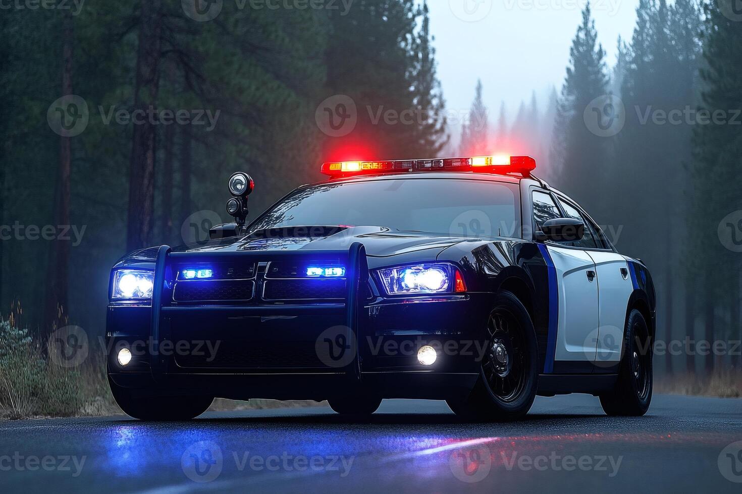 Police car parked on the side of a road with flashing lights at night photo