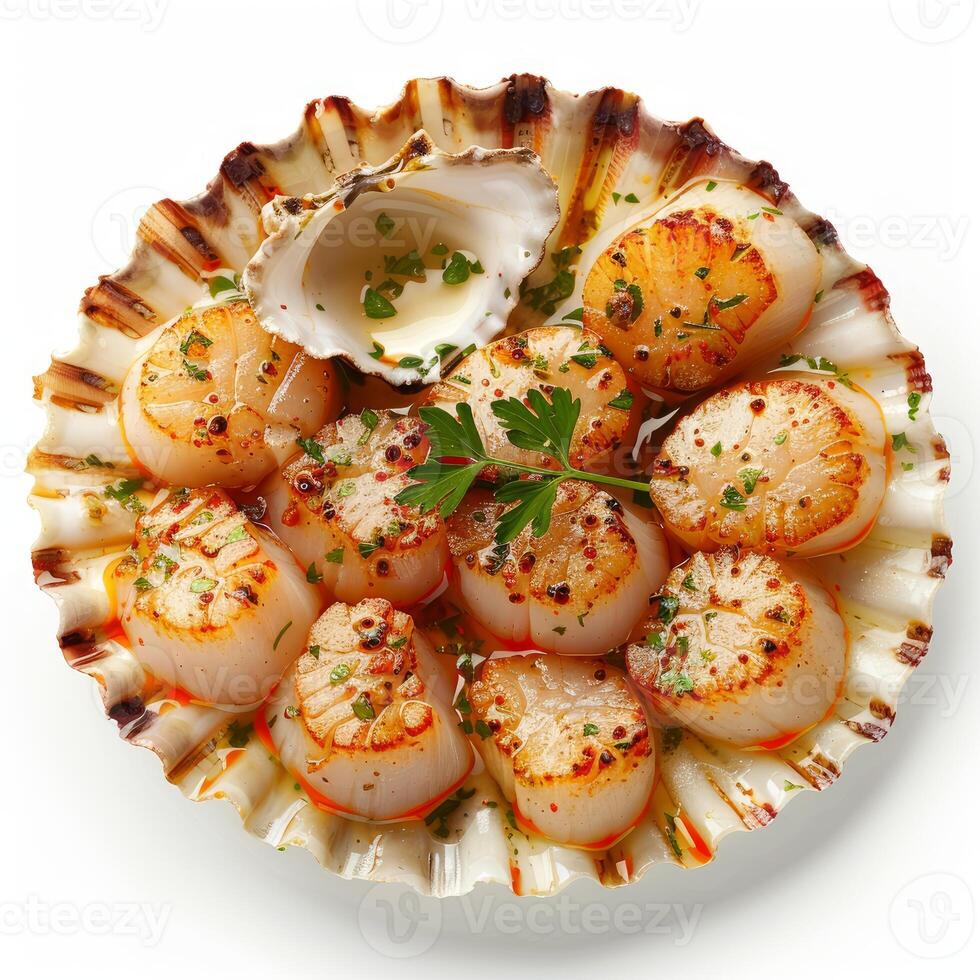 Seared scallops with parsley and butter sauce served on shell photo