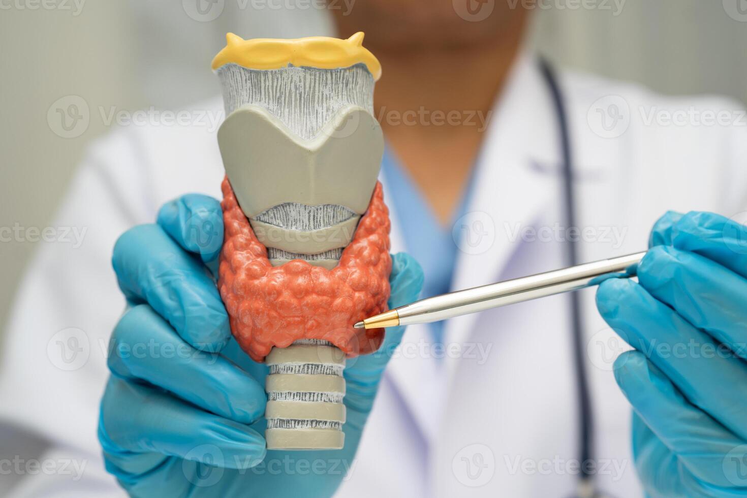 Hyperthyroidism Overactive Thyroid, Thyroid Lymphoma, Asian doctor with thyroid gland human photo