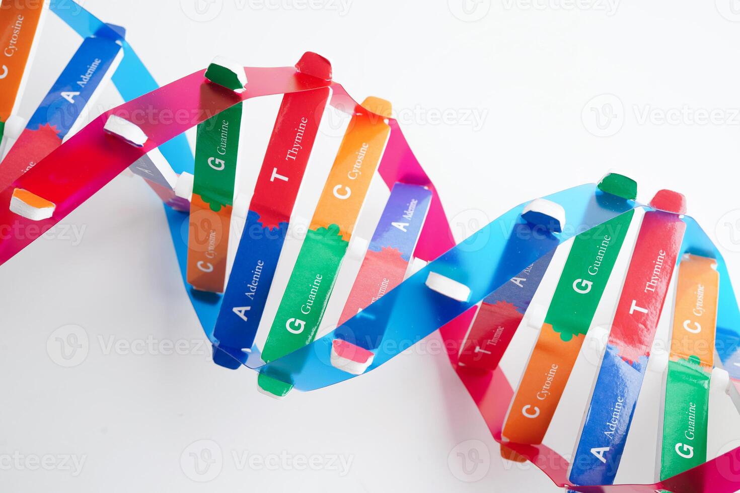 DNA molecule spiral structure model isolated on white background chromosome photo