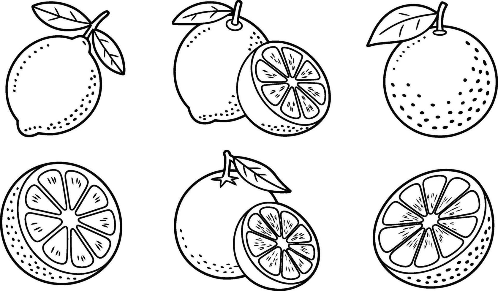 Citrus fruits line art collection lemon orange and half slices vector