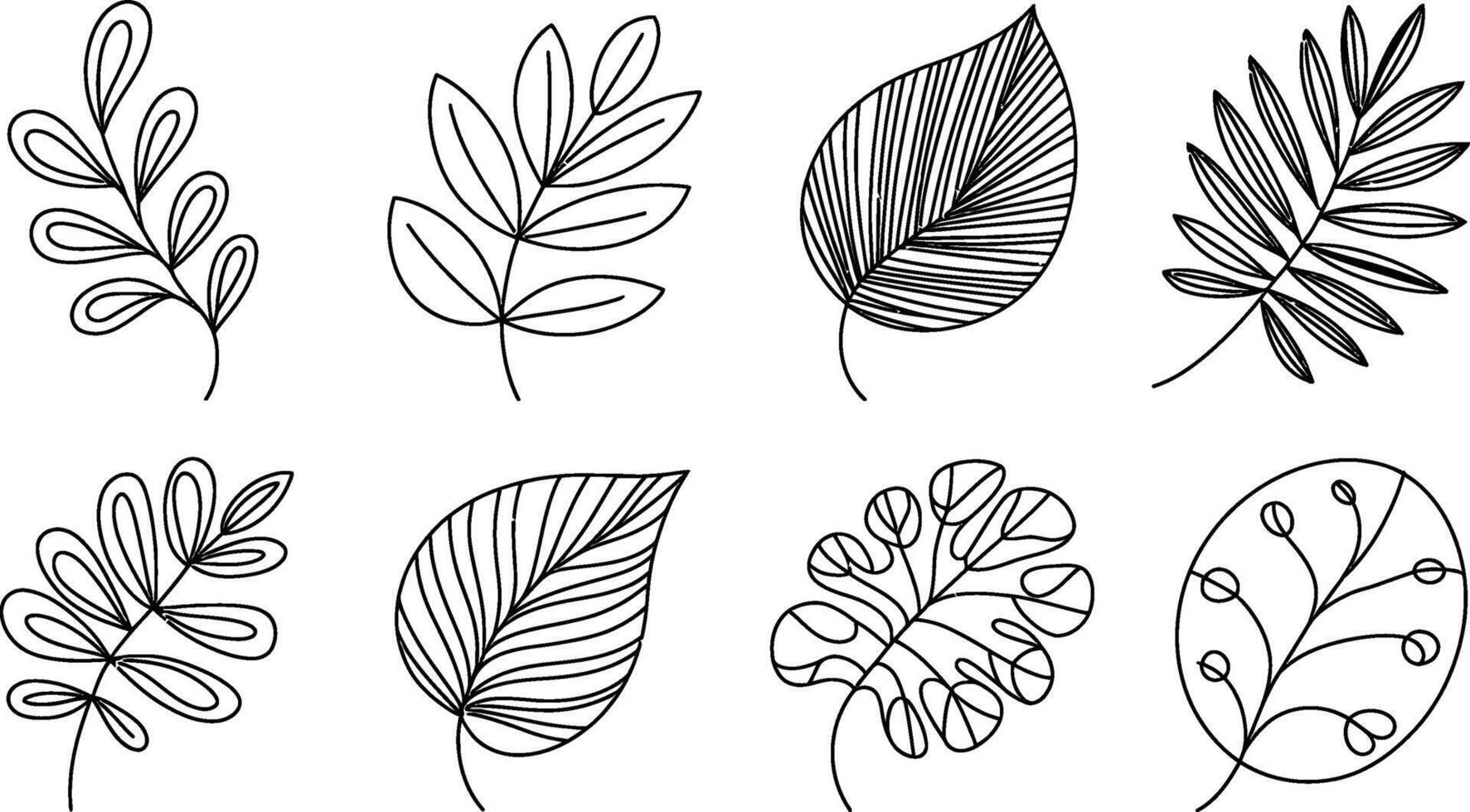 Set of eight black and white leaf outline illustrations botanical line art vector