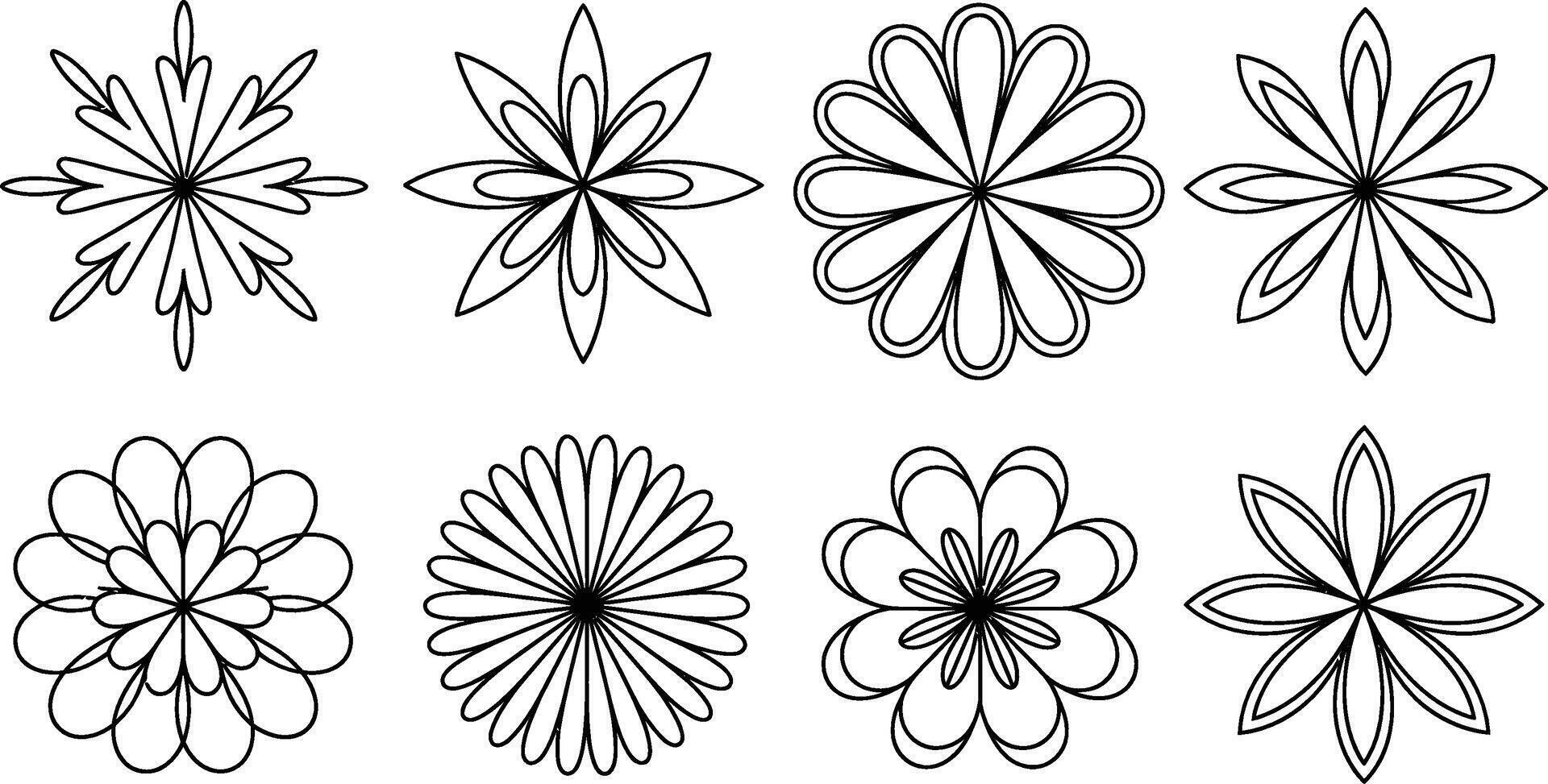 Floral outline collection eight flower designs botanical graphics illustration vector