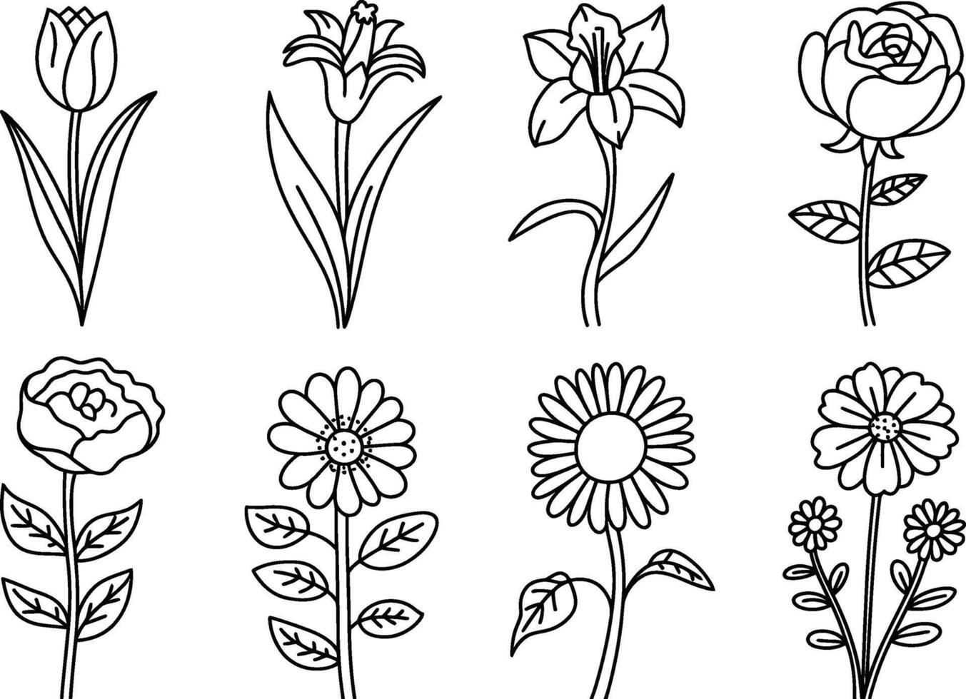 Floral outline collection featuring various flower species illustration element vector