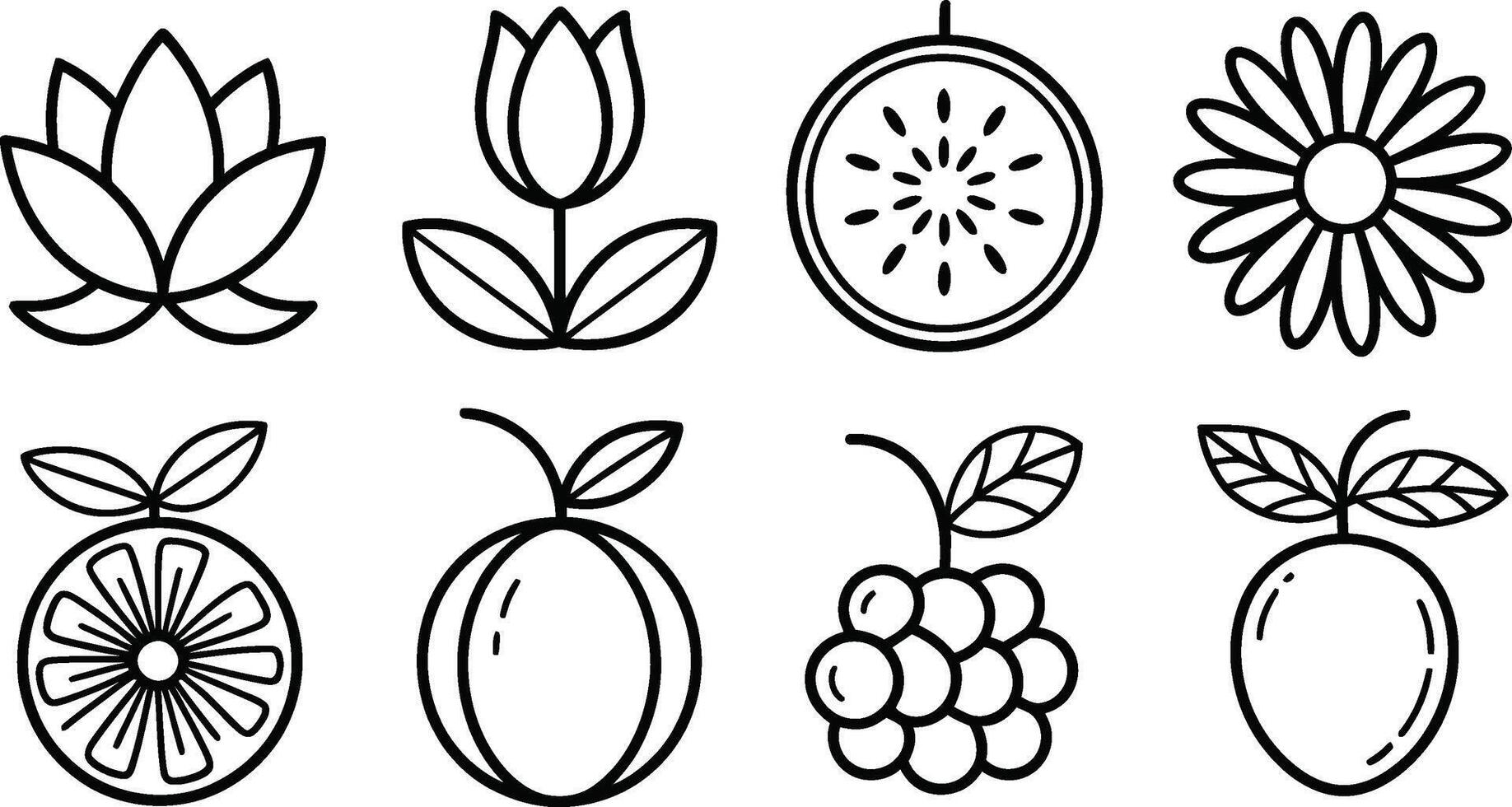 Collection of simple outline illustrations featuring flowers and fruits designs vector