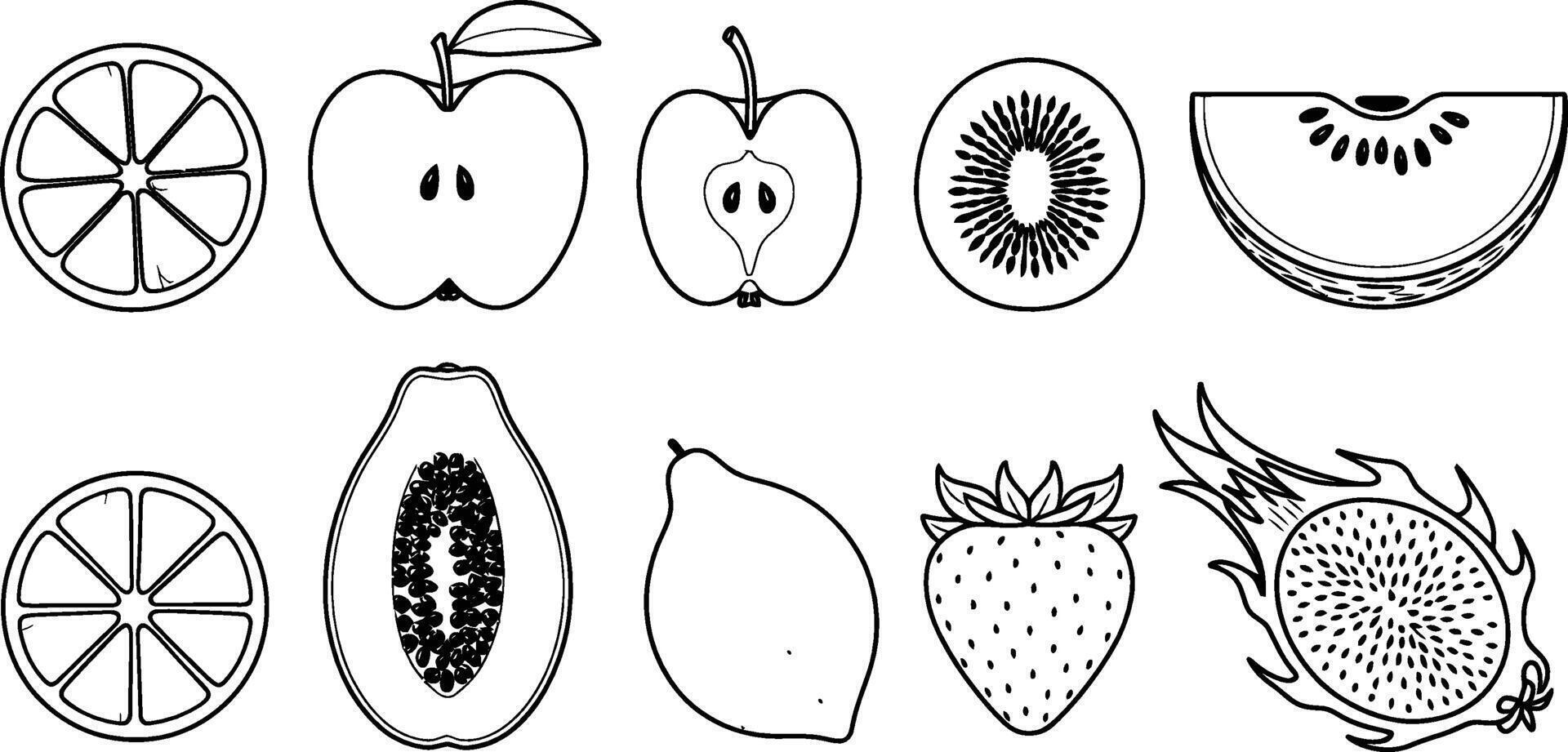 Collection of outline style fruit vectors orange apple kiwi strawberry papaya