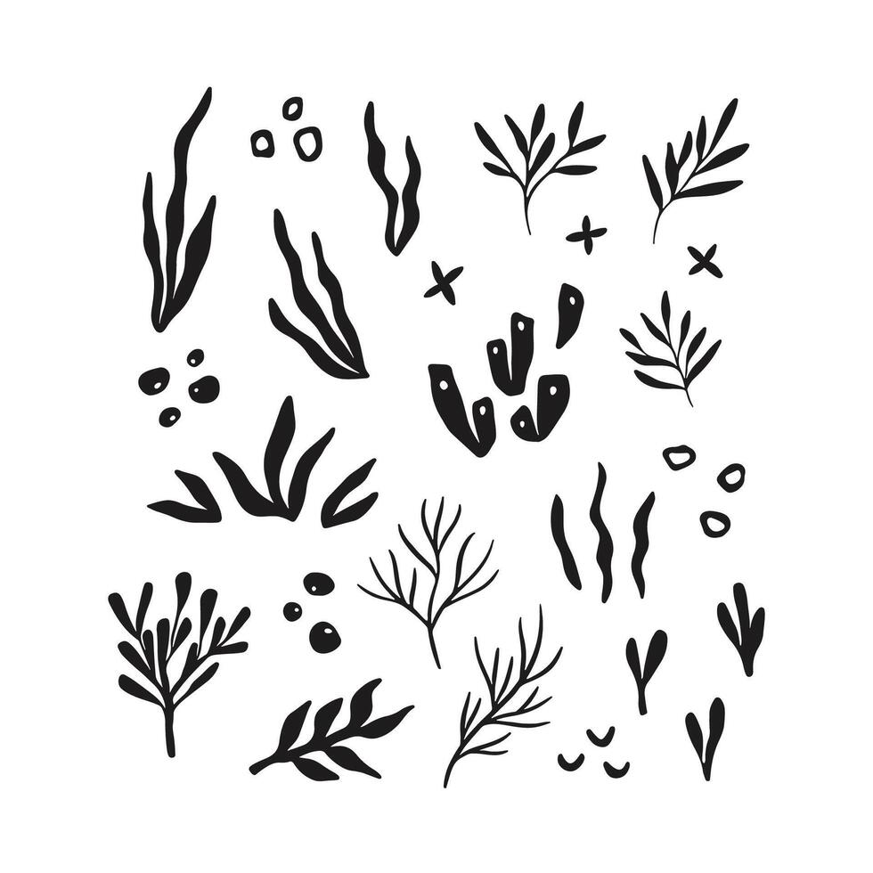 Whimsical corals and seaweed drawing vector