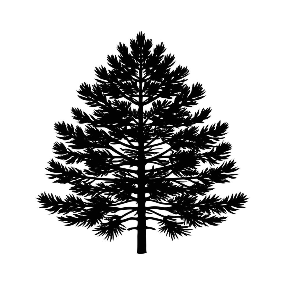 Silhouette of a Pine Tree vector