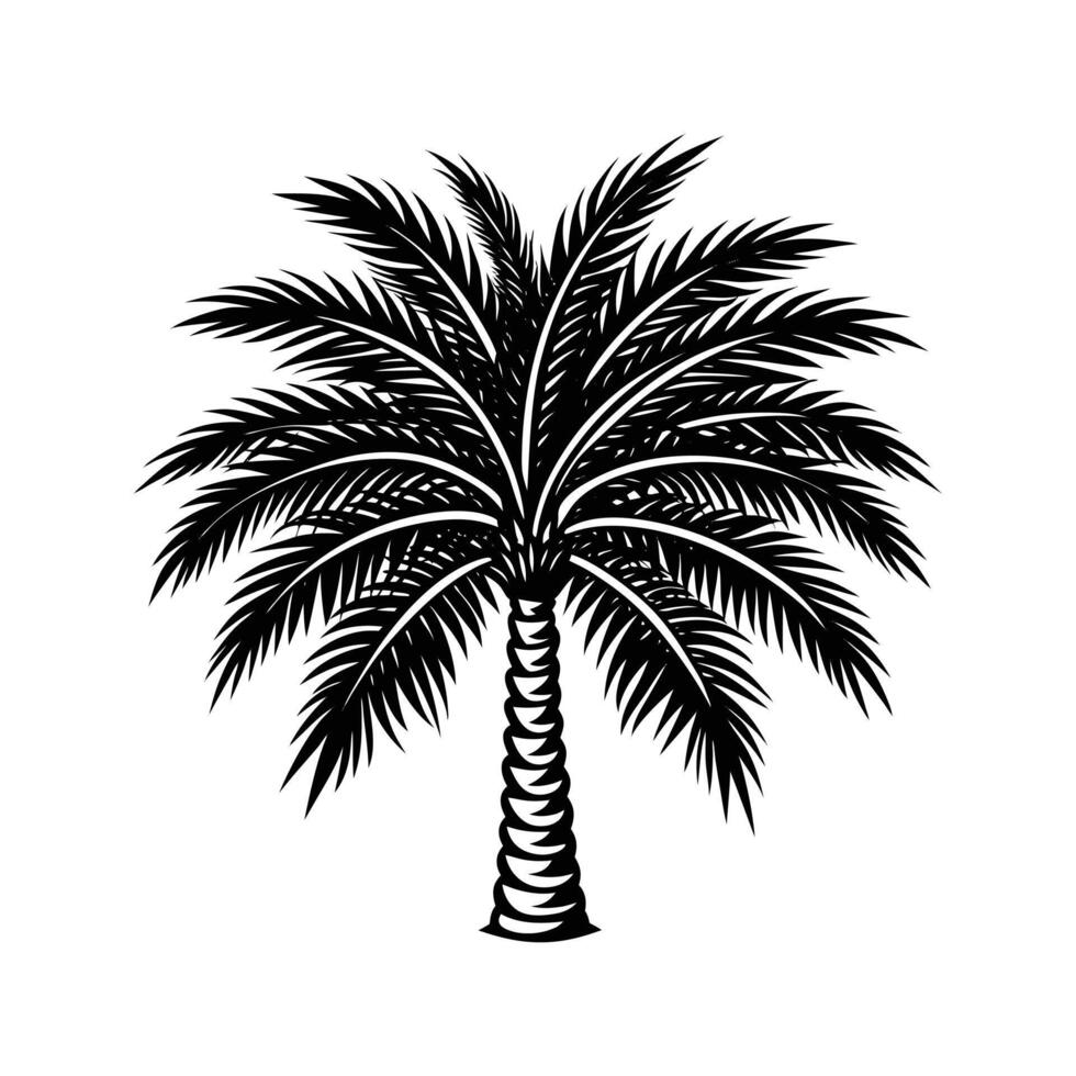 Silhouette of a Palm Tree vector